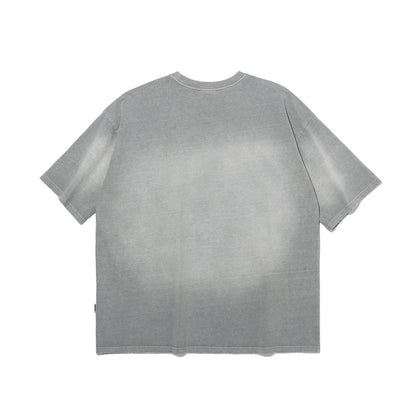 Small Logo Pigment Washed T-Shirt (Gray)